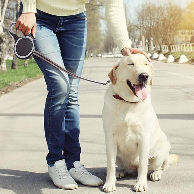 Laisse de Chien - MaxLeash™ - Noir