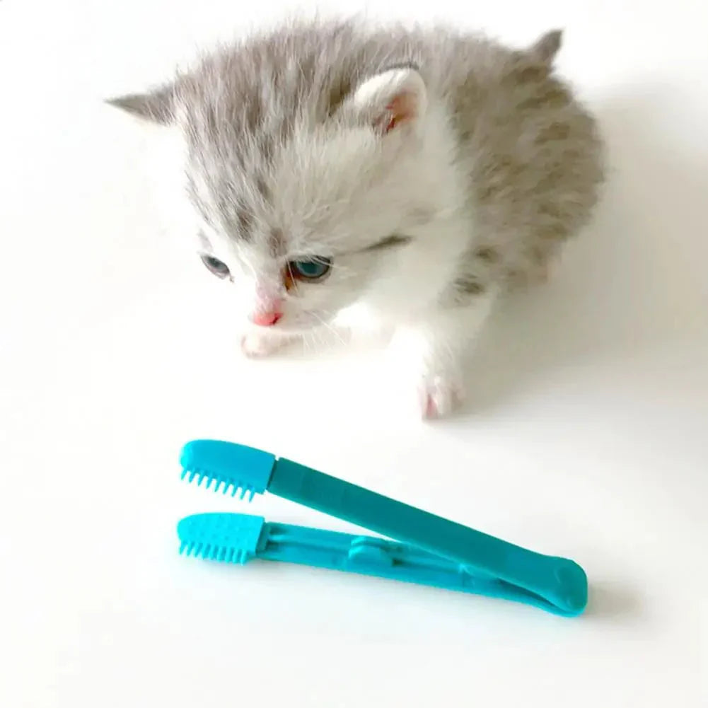 Brosse pour Chat - CatEyeWipe™ - Bleu - ENTREPÔT DU CHAT