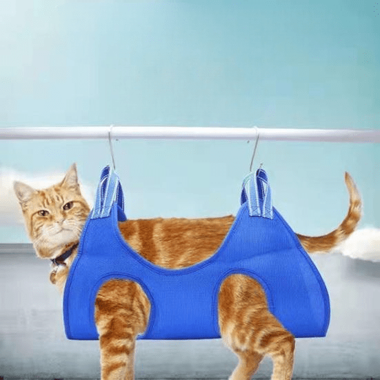 Toilettage Chat - GroomHamac™ - Bleu - ENTREPÔT DU CHAT